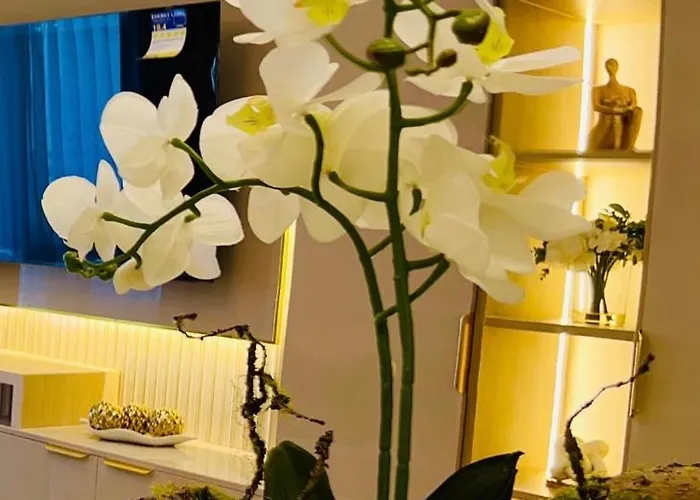 The Elegance At Shore Residences New 2br 2ba Spacious Free Parking Near Moa Aparthotel Manila